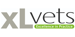  XL Vets Logo