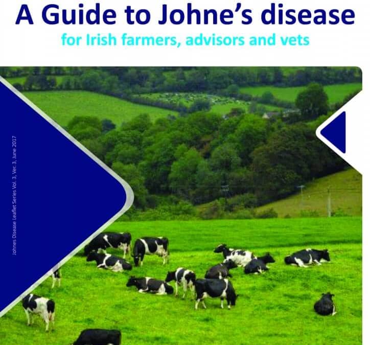 Johne’s Disease