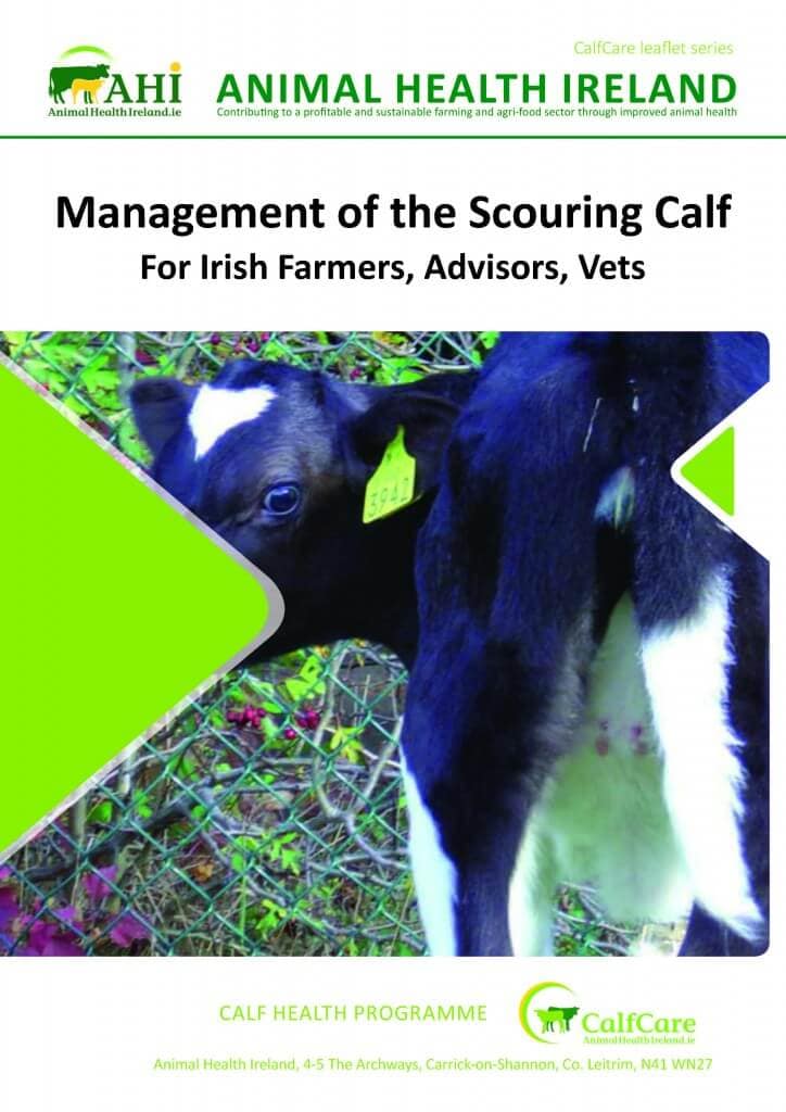 Factsheets Killaloe Vets